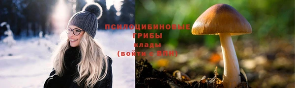 кокаин премиум Ладушкин