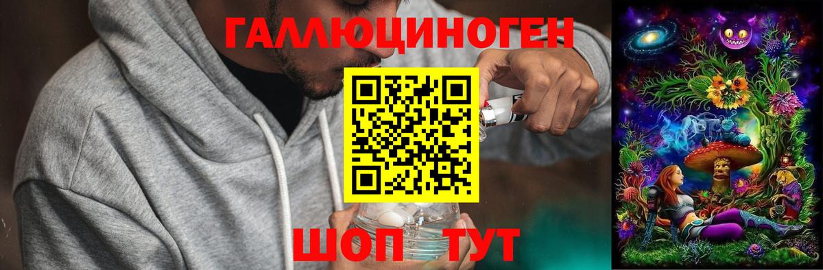 Юрга  Галлюциногенные грибы Magic Shrooms  наркота  Вход с VPN 