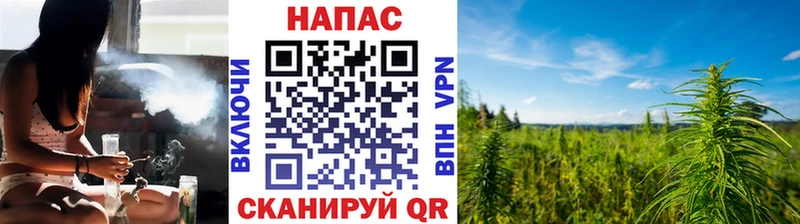 Конопля планчик  Юрга 